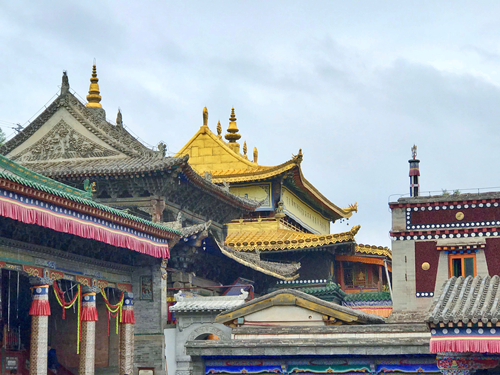 1631084568176565.jpg 1631084568176565.jpg